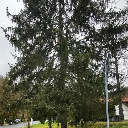 Villa Gejzir 34 *
